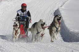 Kandersteg 2013